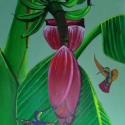 1_Hummingbirds-and-Banana-flower-36x20-Acrylic-TT1800.0